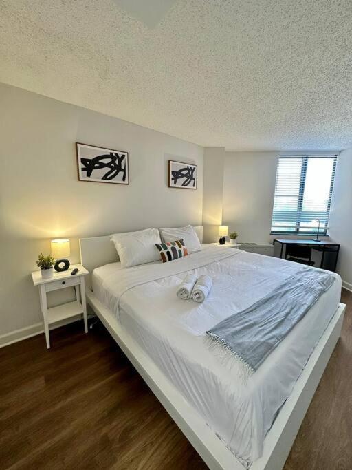 Incredible Apartment With Rooftop In Pentagon City Arlington Zewnętrze zdjęcie